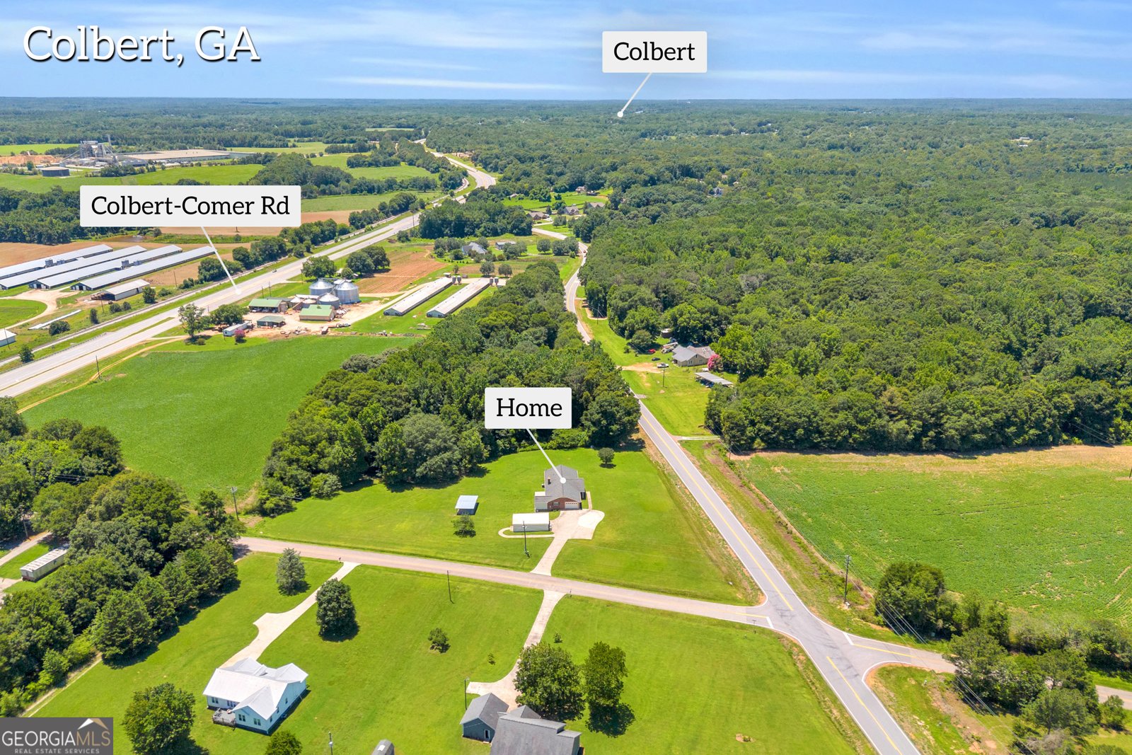 167 McCarty Dodd Road Colbert - Photo 6