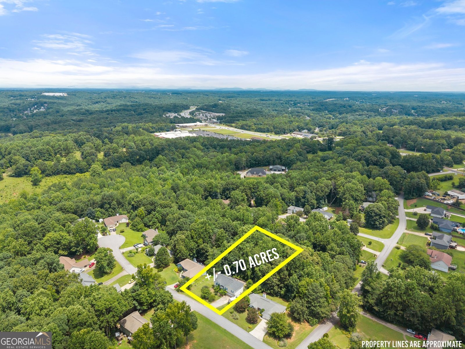 4516 Nohl Ridge Lane Flowery Branch - Photo 34
