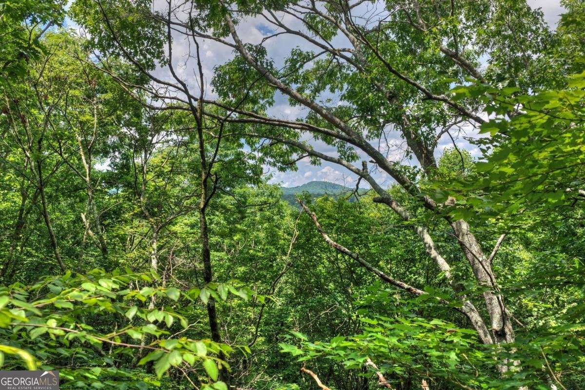 221 Shade Tree Lane Mineral Bluff - Photo 12