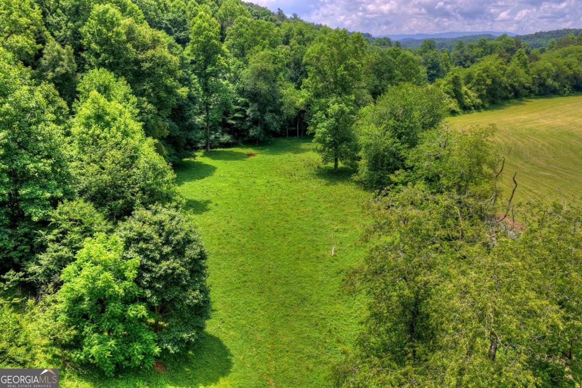 221 Shade Tree Lane Mineral Bluff - Photo 13