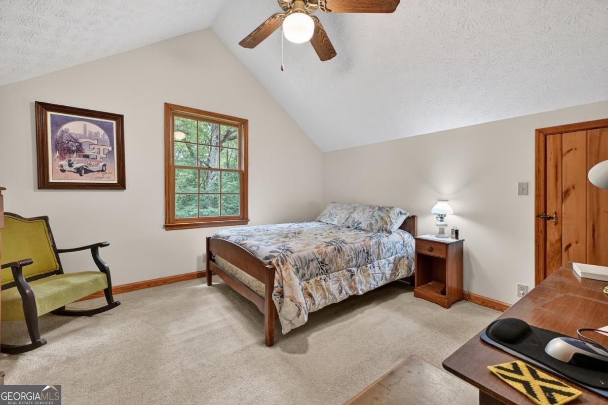 221 Shade Tree Lane Mineral Bluff - Photo 17