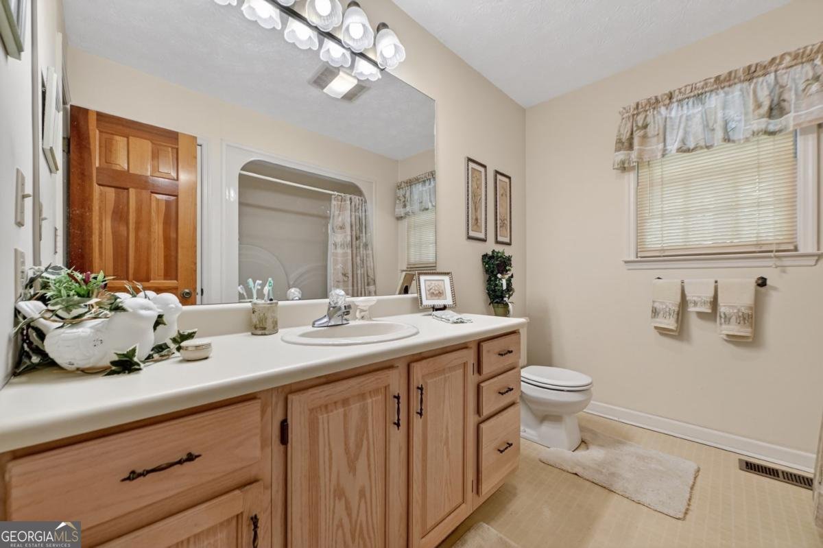221 Shade Tree Lane Mineral Bluff - Photo 23