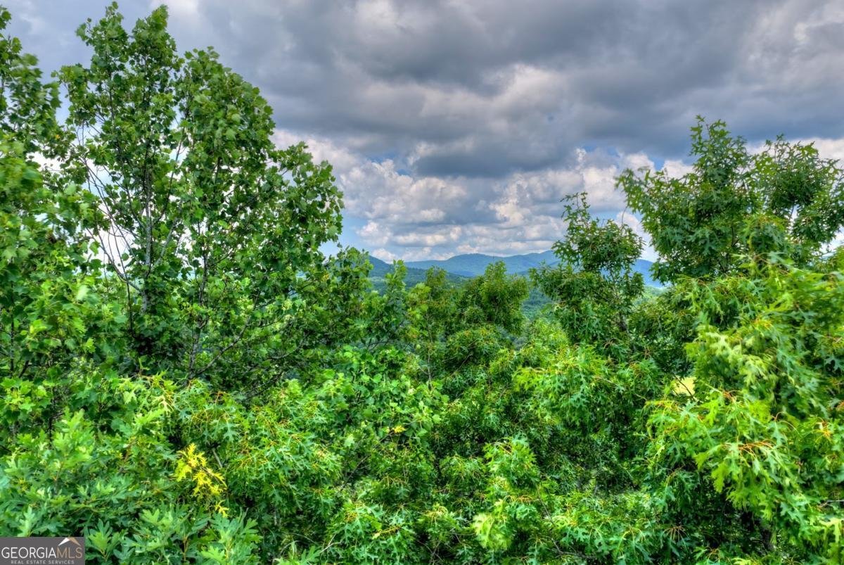 221 Shade Tree Lane Mineral Bluff - Photo 24