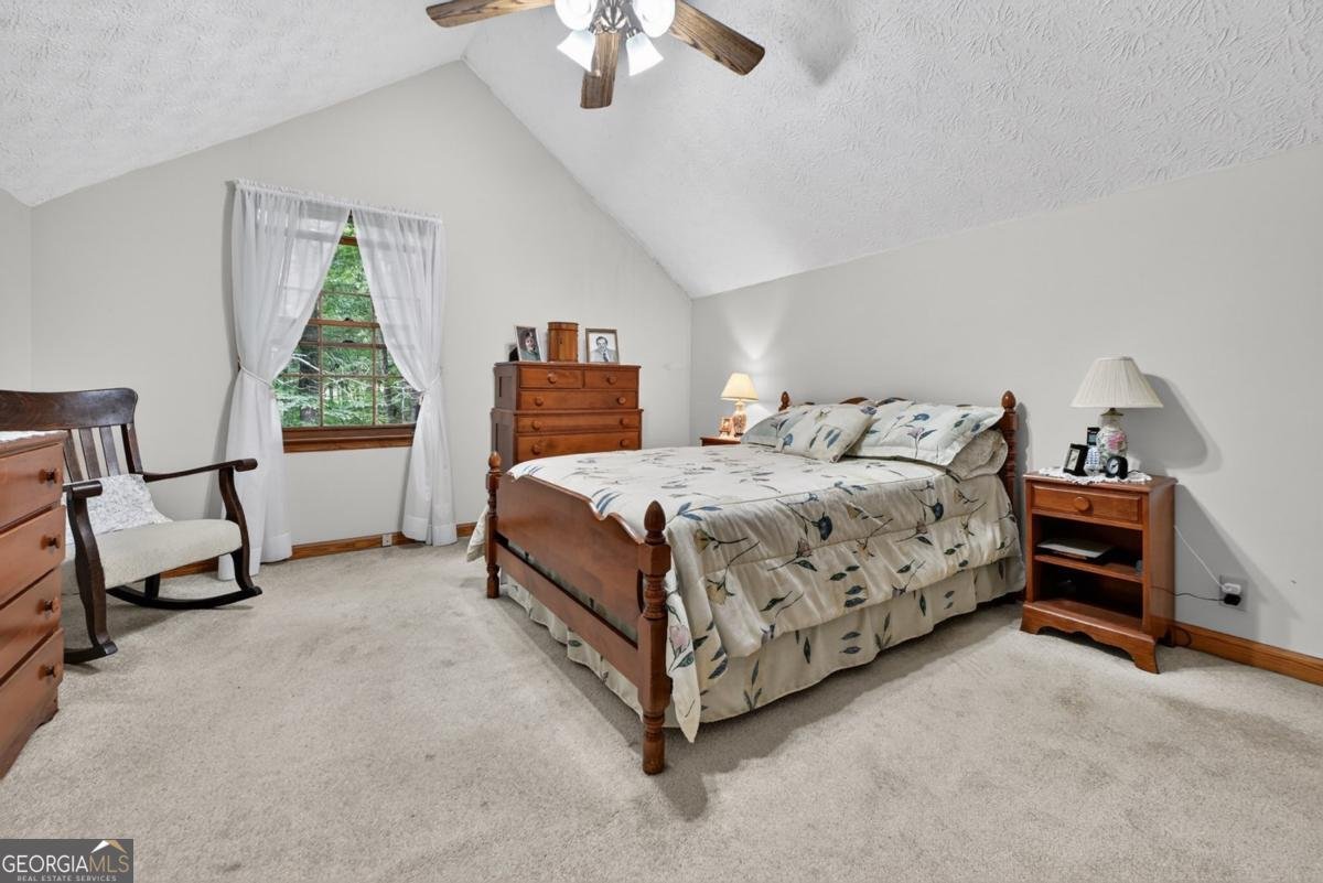 221 Shade Tree Lane Mineral Bluff - Photo 26