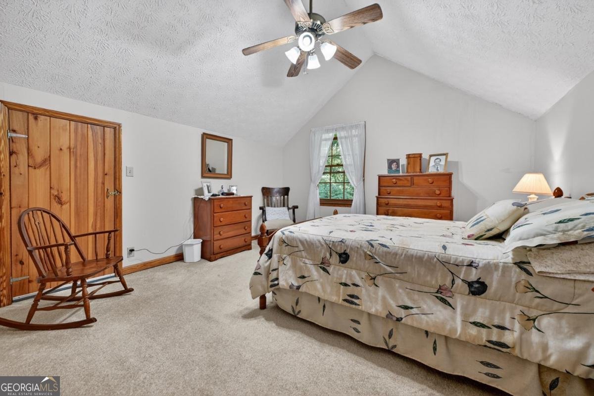 221 Shade Tree Lane Mineral Bluff - Photo 29