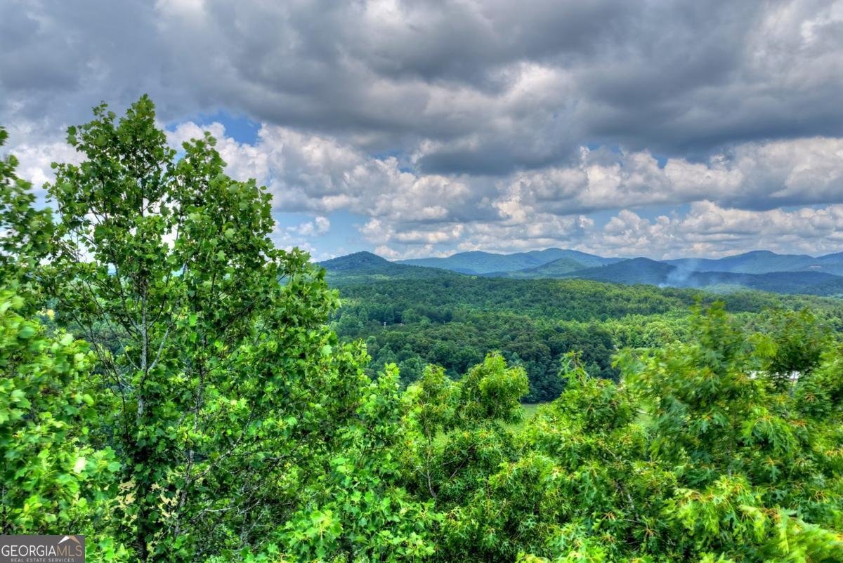 221 Shade Tree Lane Mineral Bluff - Photo 33