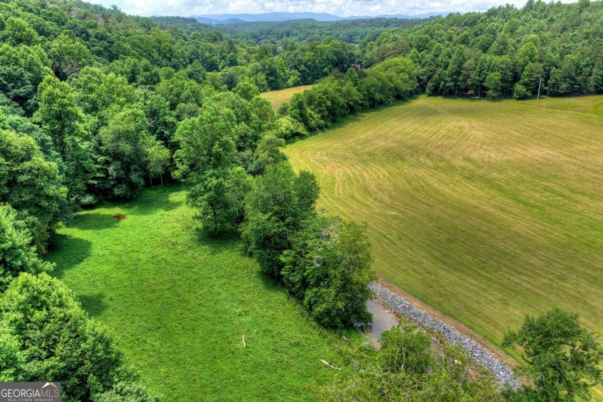 221 Shade Tree Lane Mineral Bluff - Photo 37