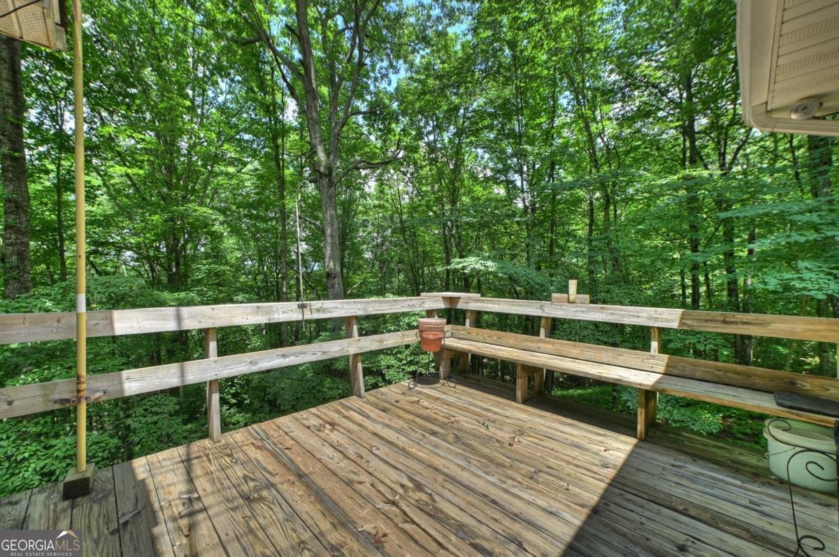 221 Shade Tree Lane Mineral Bluff - Photo 52