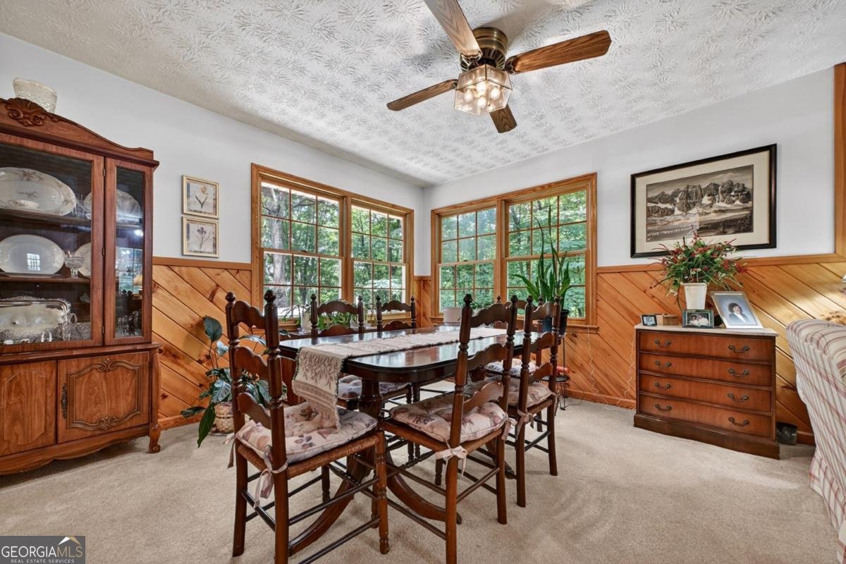 221 Shade Tree Lane Mineral Bluff - Photo 8