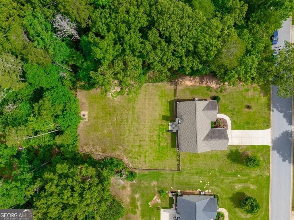 67 Bryn Drive Dawsonville - Photo 44