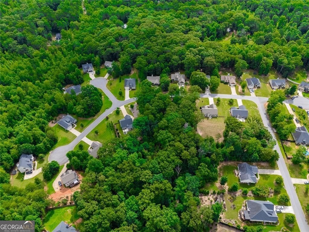 67 Bryn Drive Dawsonville - Photo 45
