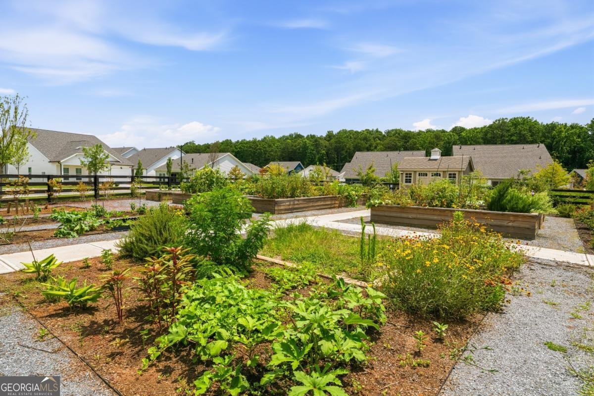 261 Vinca Circle Kennesaw - Photo 43
