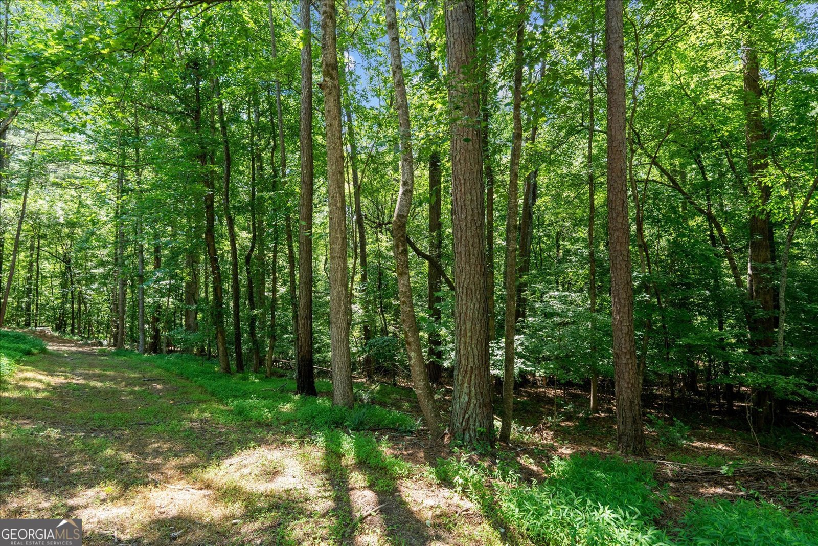 5149 Woodmond Drive Villa Rica - Photo 46