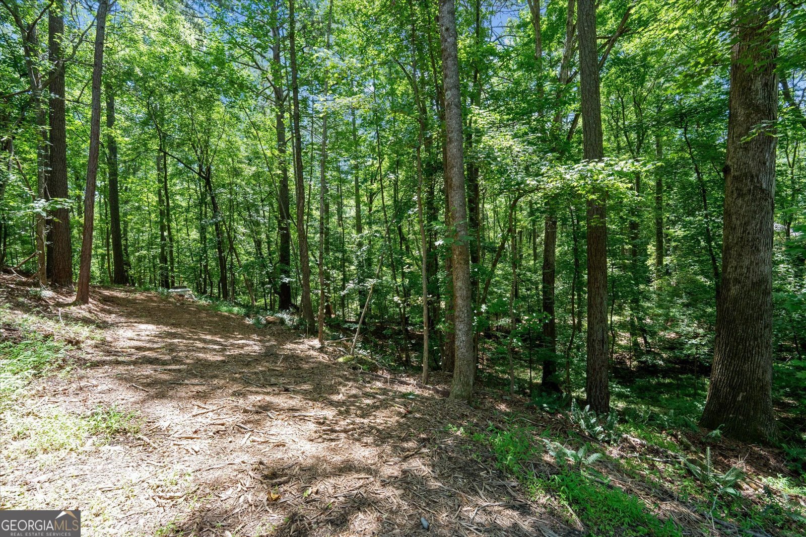 5149 Woodmond Drive Villa Rica - Photo 47