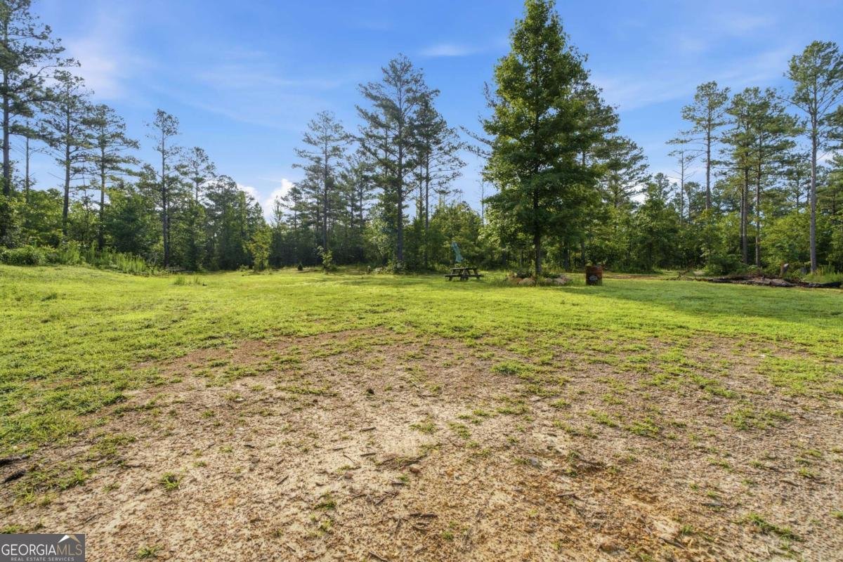 3713 Chulio Road Rome - Photo 34