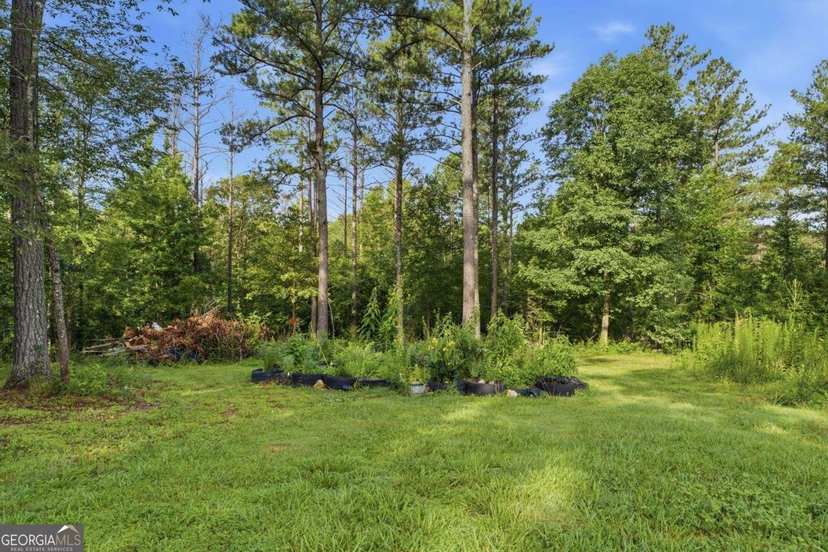 3713 Chulio Road Rome - Photo 39