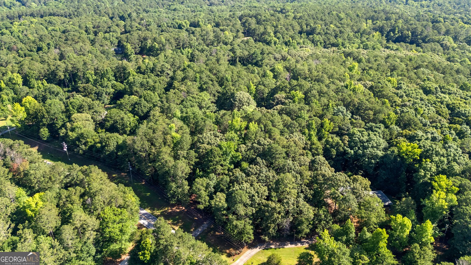 2665 Honey Creek Road Conyers - Photo 57