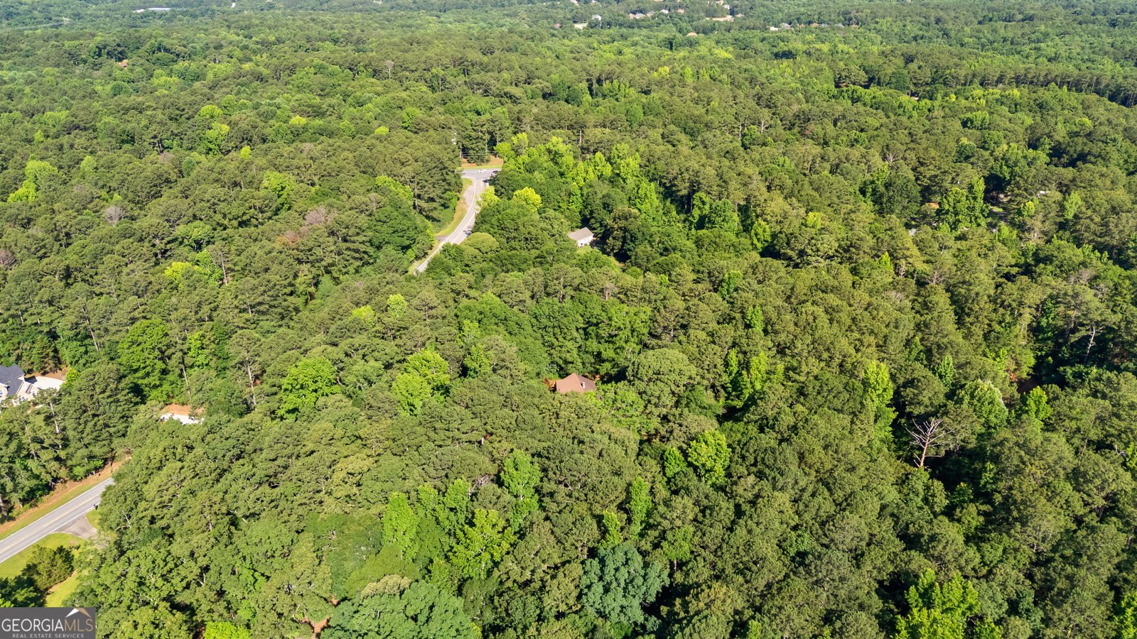 2665 Honey Creek Road Conyers - Photo 58