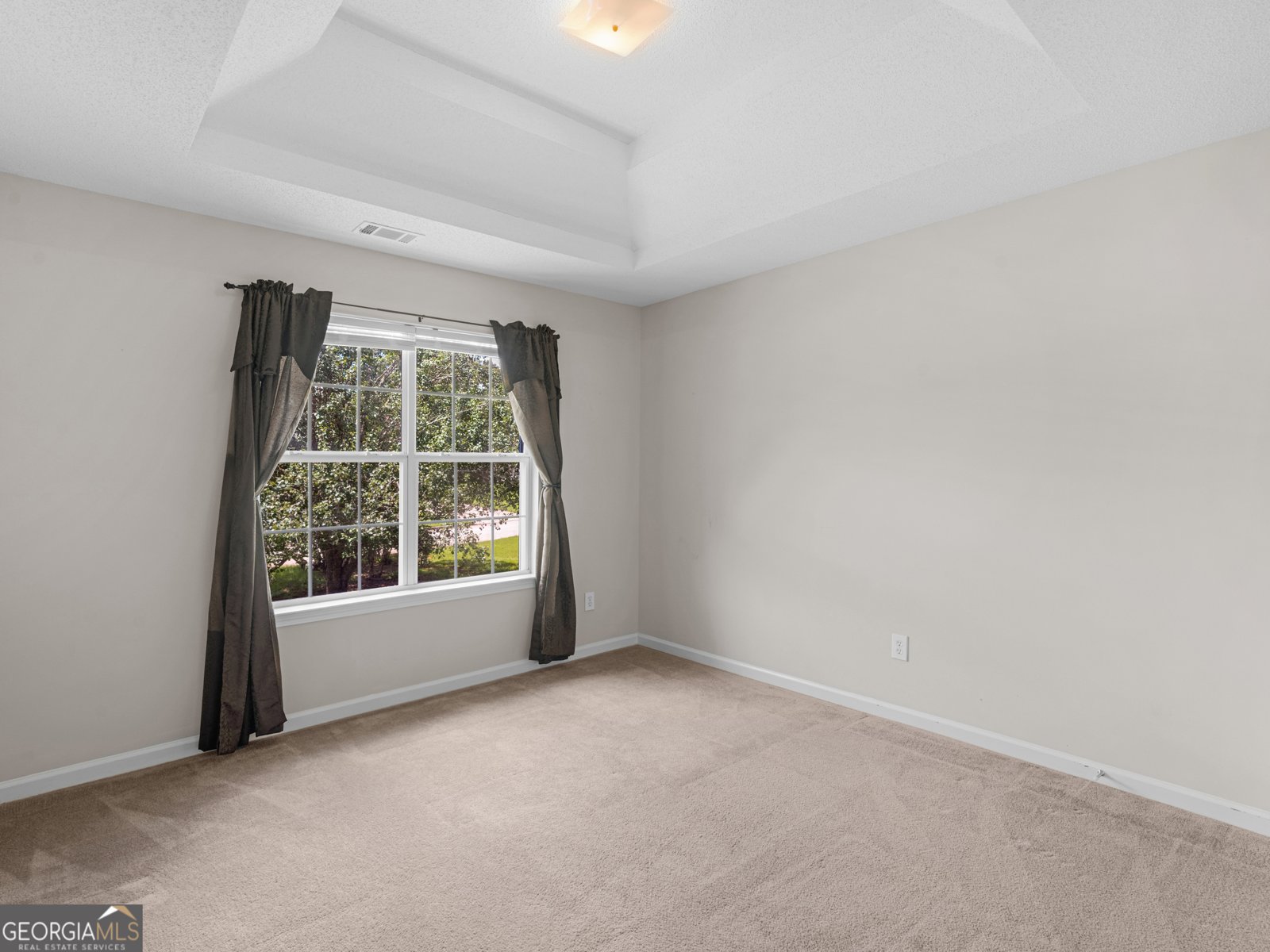 219 Metoyer Drive McDonough - Photo 38