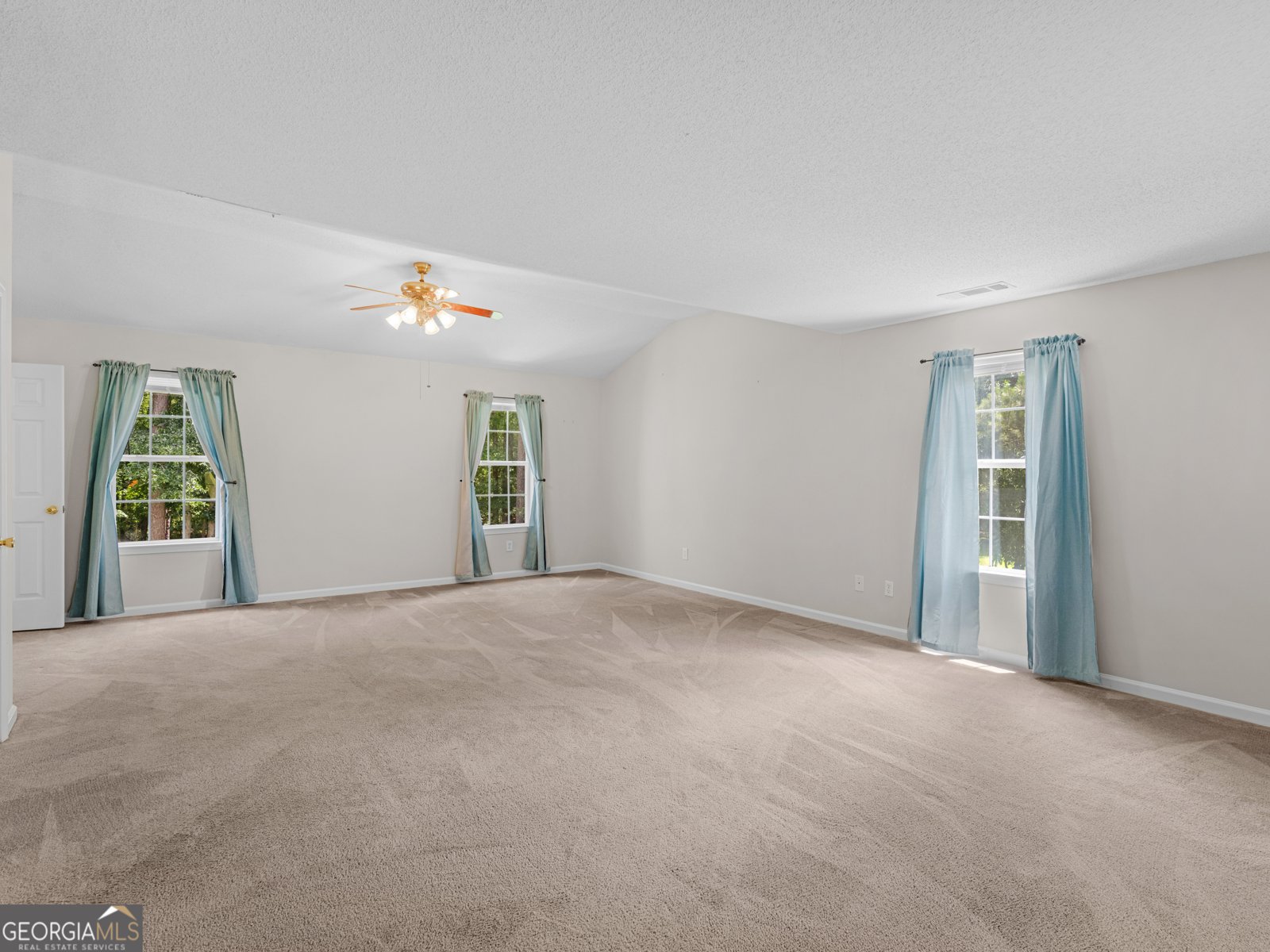 219 Metoyer Drive McDonough - Photo 42