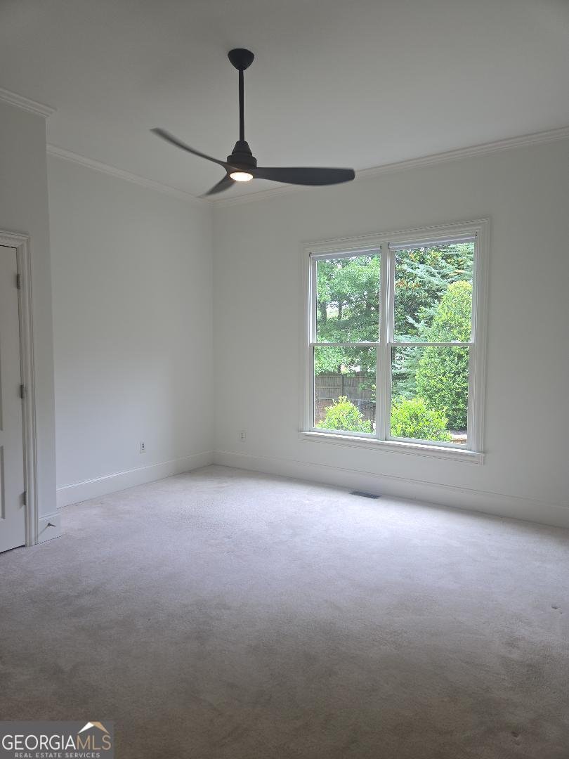 3435 HIDDEN SHOALS Road Buford - Photo 24