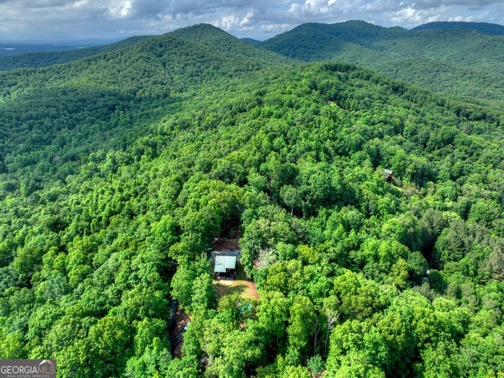 782 Scenic Mountain View Road Blue Ridge - Photo 40