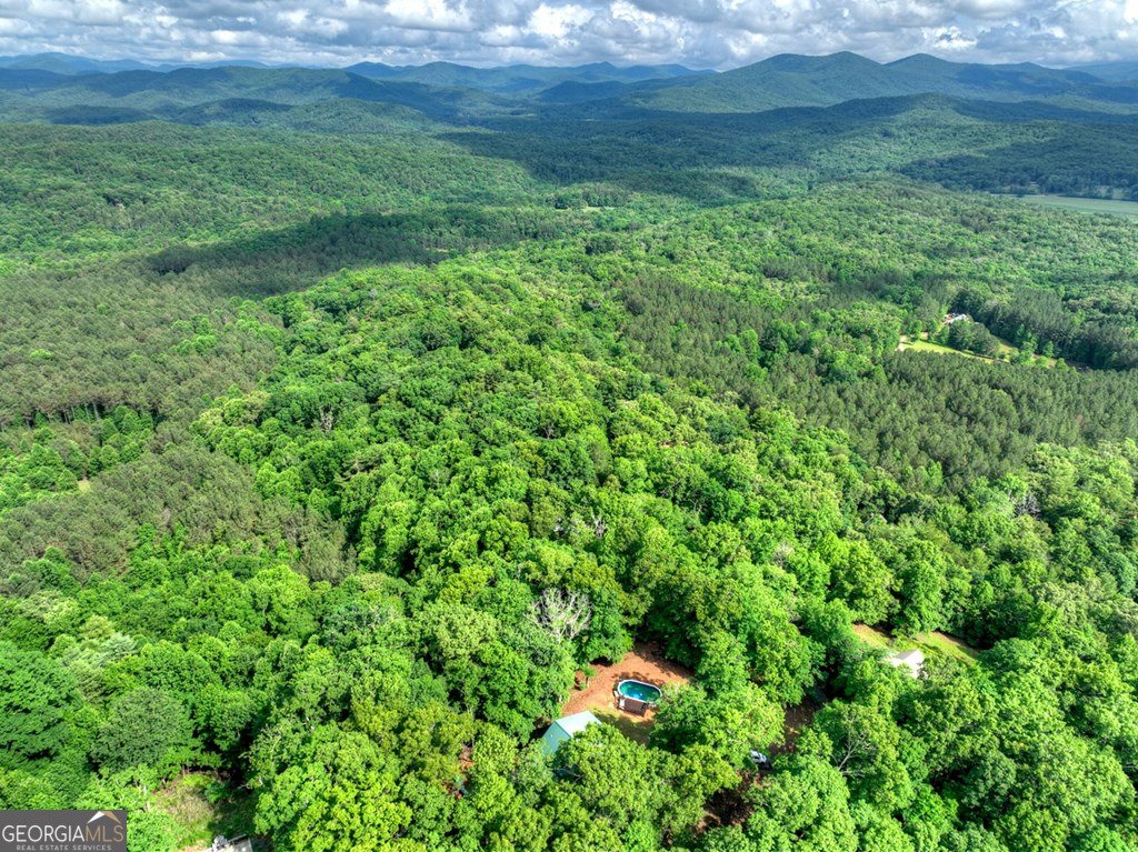 782 Scenic Mountain View Road Blue Ridge - Photo 45