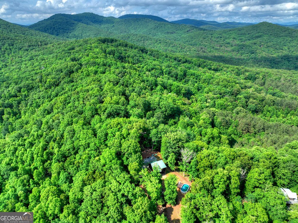 782 Scenic Mountain View Road Blue Ridge - Photo 46