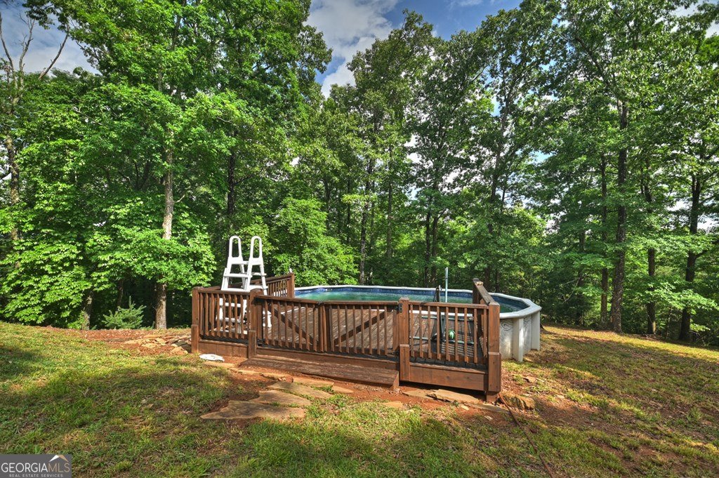 782 Scenic Mountain View Road Blue Ridge - Photo 48