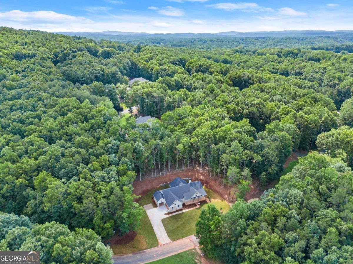 708 Plum Lane Clarkesville - Photo 10