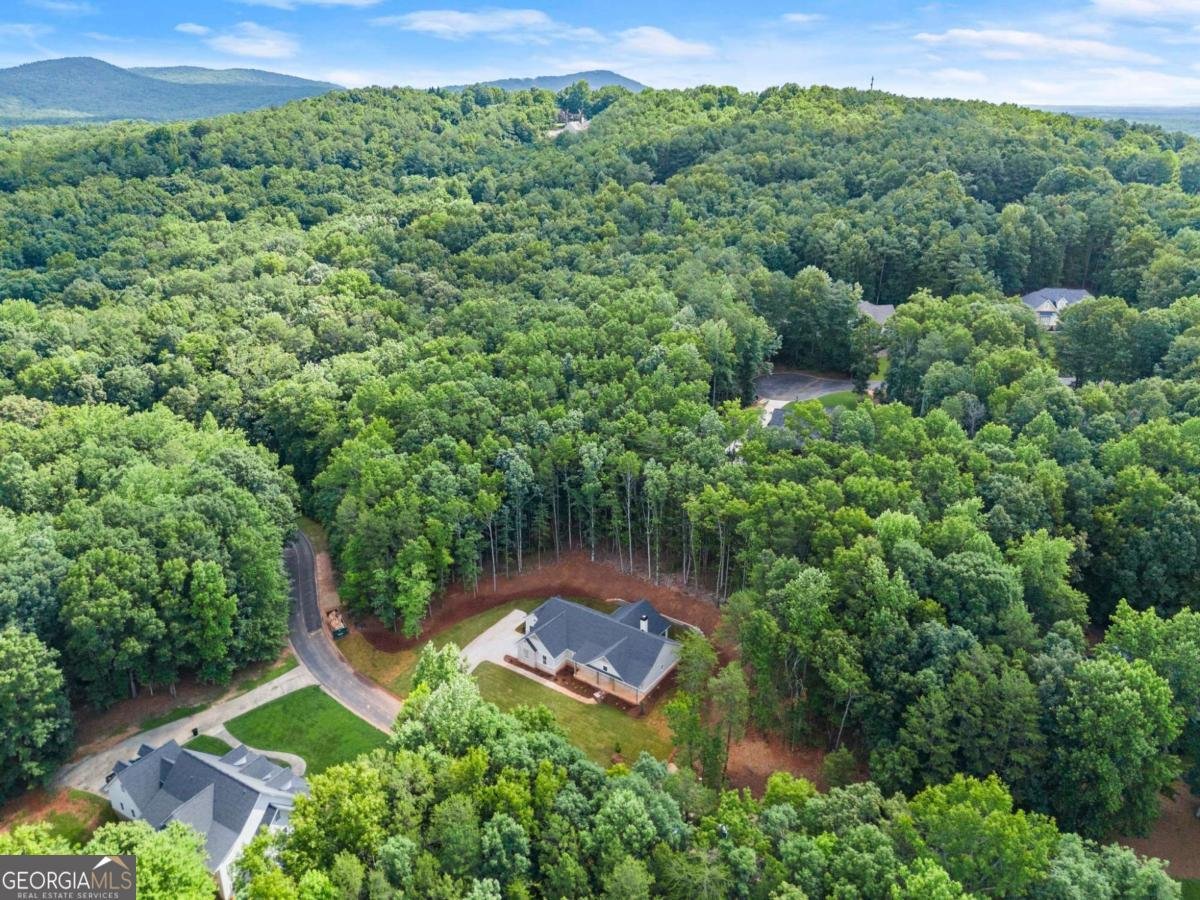 708 Plum Lane Clarkesville - Photo 12