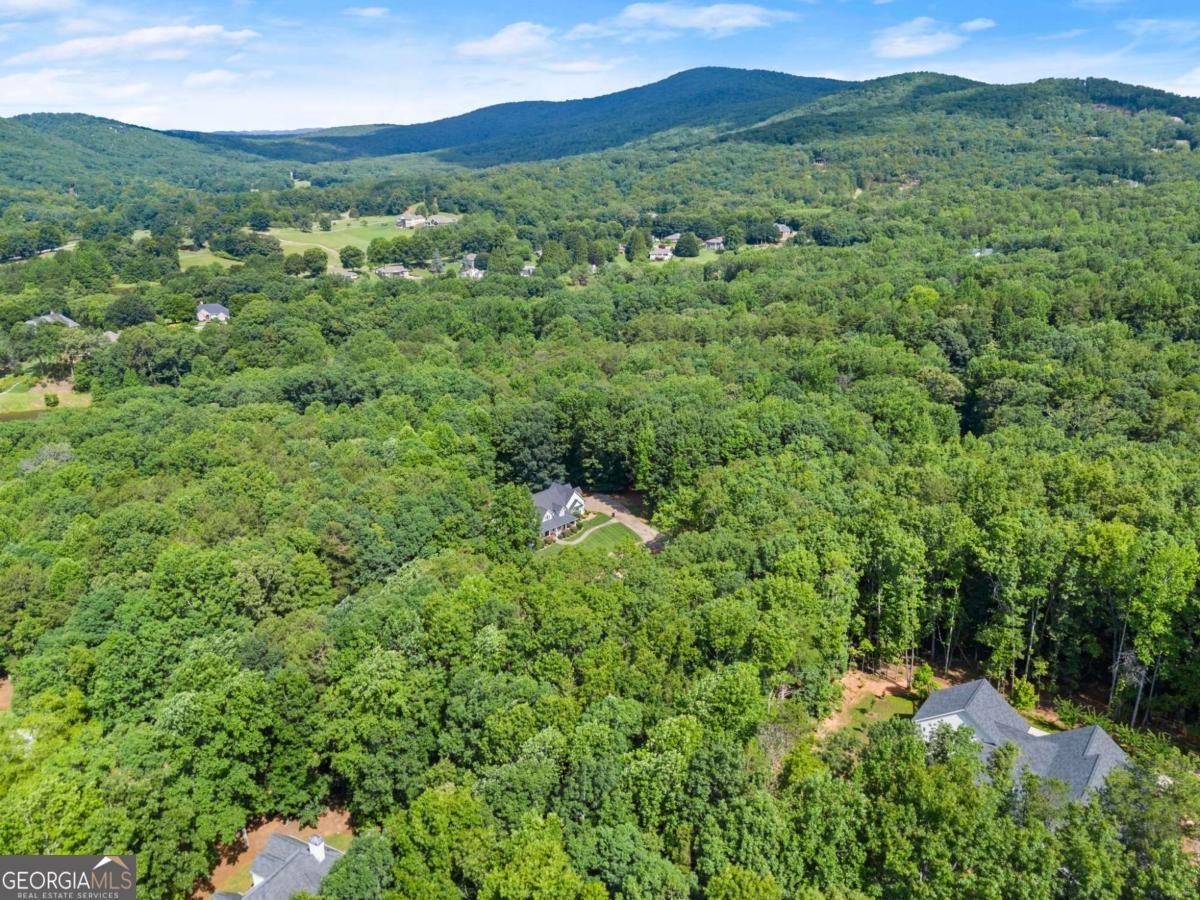 708 Plum Lane Clarkesville - Photo 13