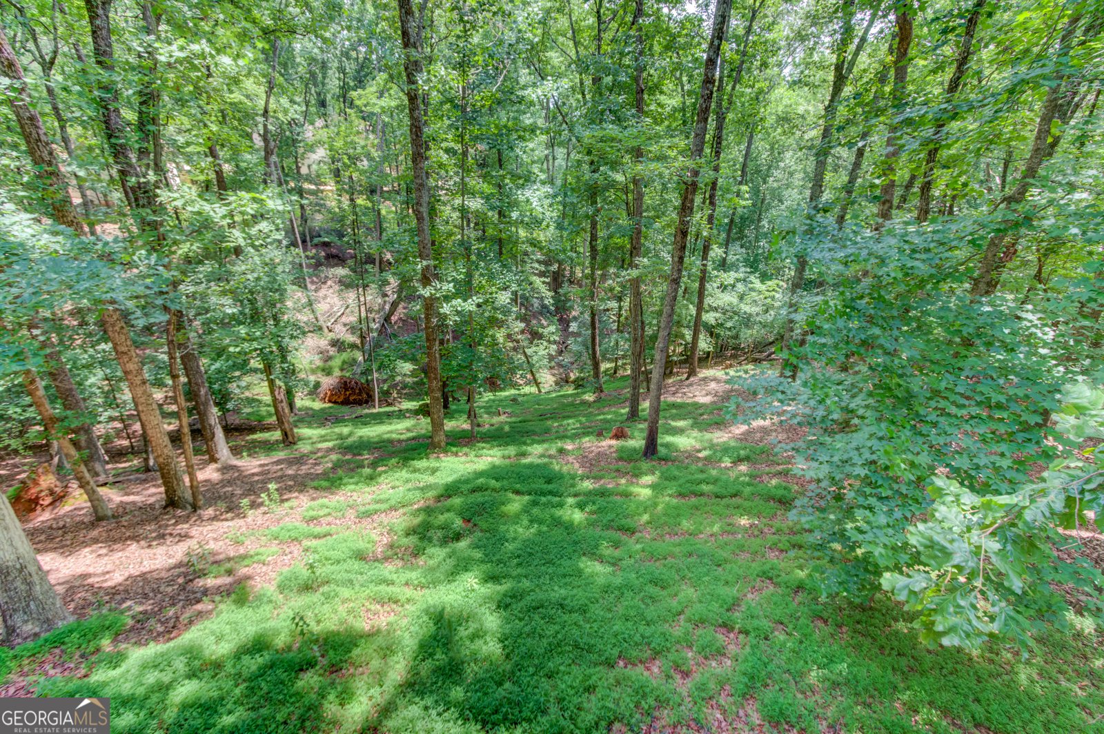 2525 Thompson Mill Road Gainesville - Photo 48