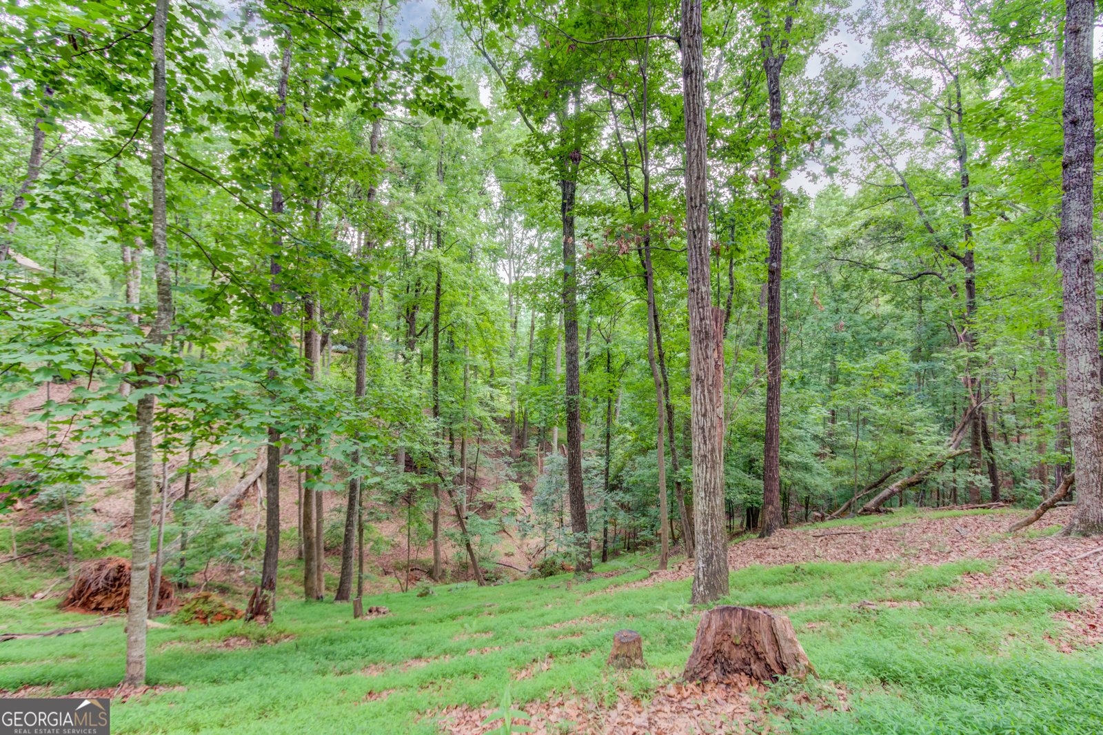 2525 Thompson Mill Road Gainesville - Photo 51