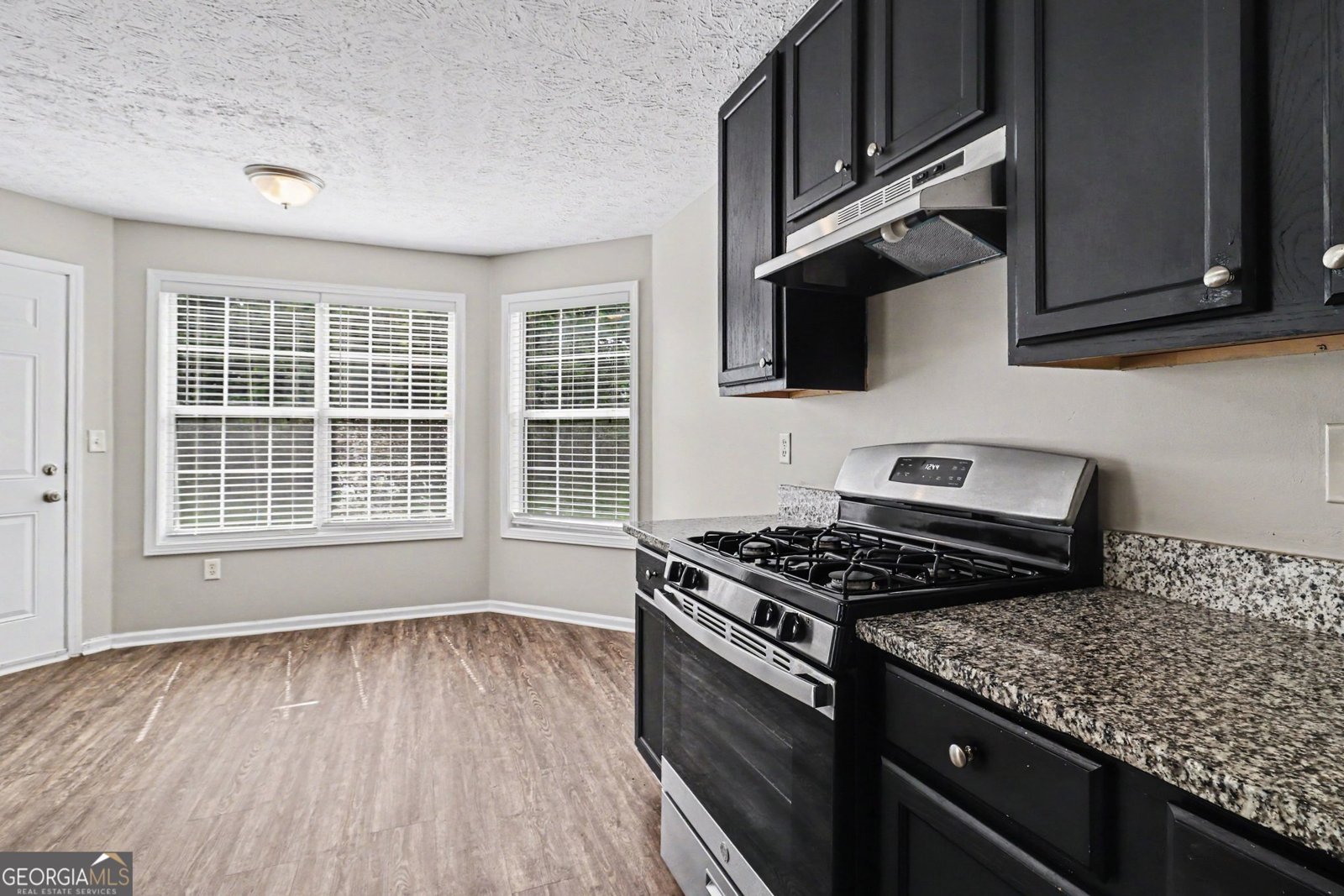 7873 Chadwick Lane Riverdale - Photo 7
