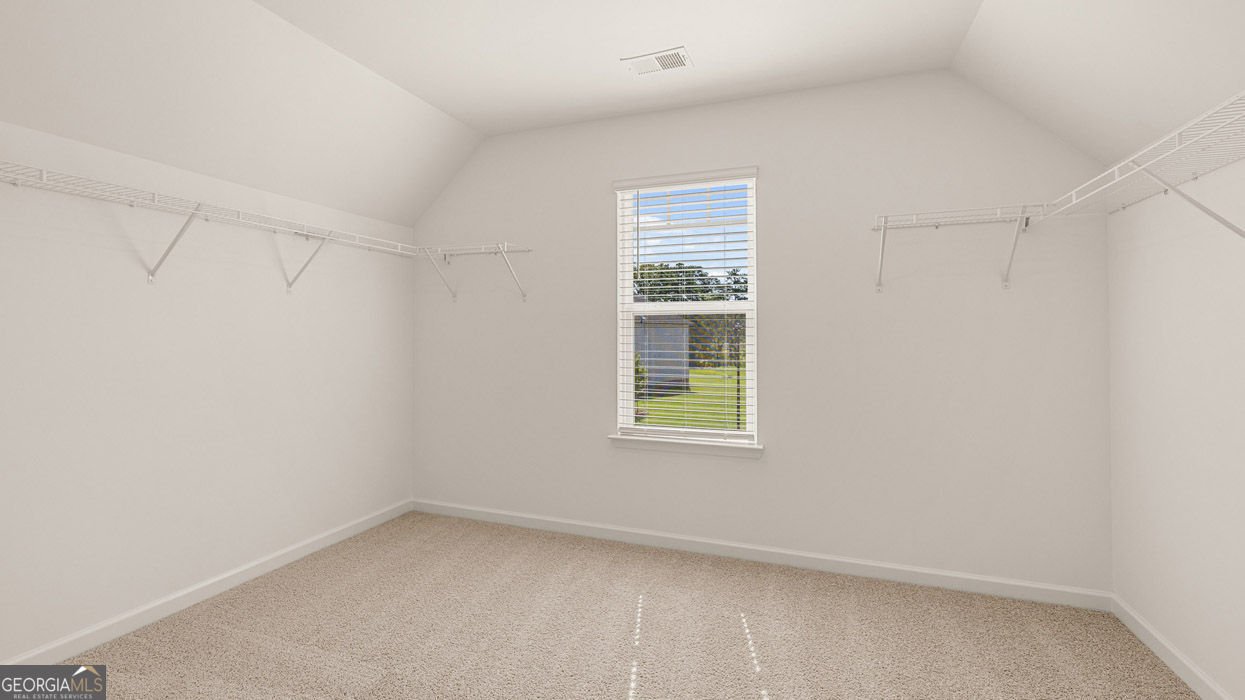 3038 Champions Way Loganville - Photo 20