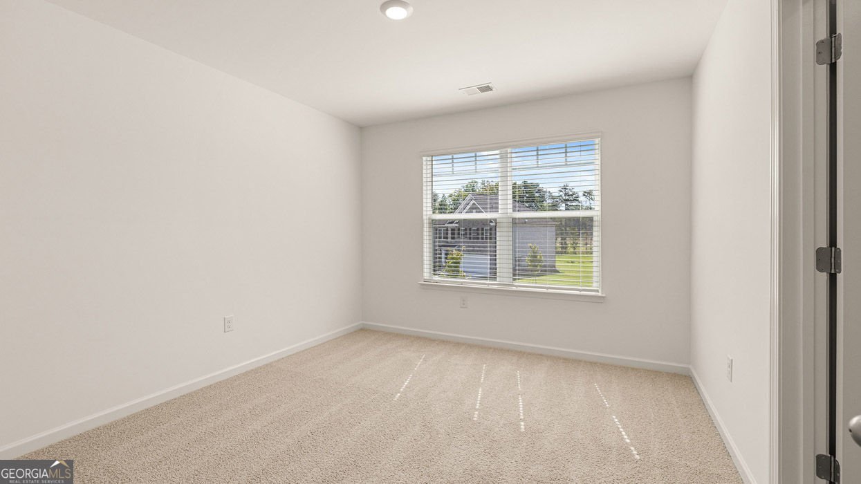 3038 Champions Way Loganville - Photo 26
