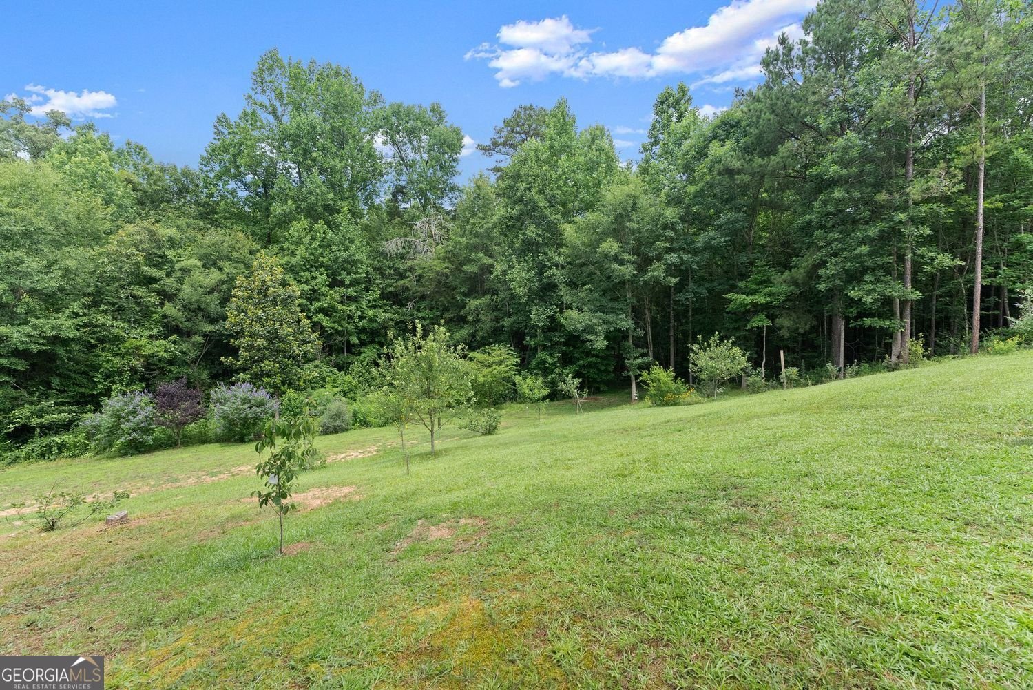 1020 Easy Street Toccoa - Photo 40