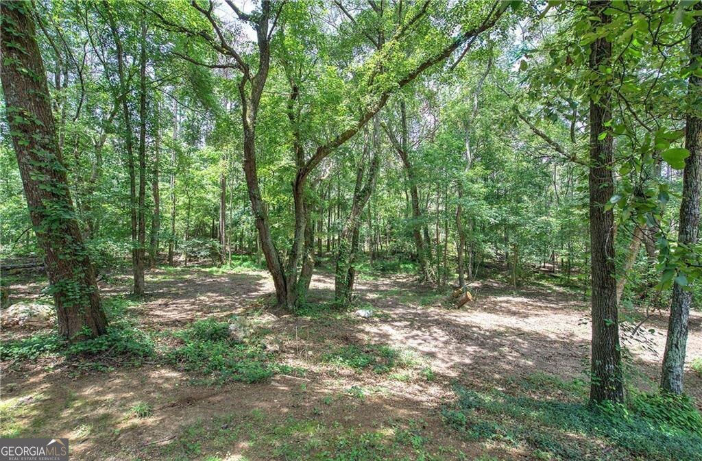 80 Iron Hill Road Taylorsville - Photo 11