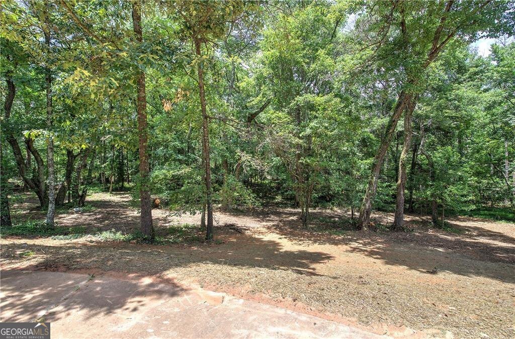 80 Iron Hill Road Taylorsville - Photo 14