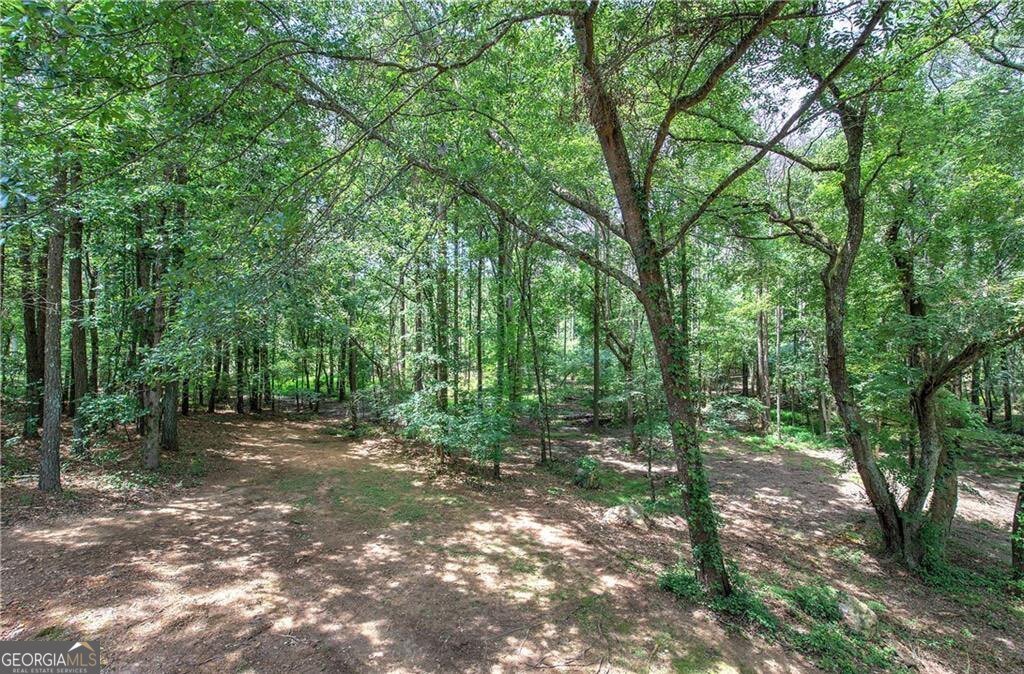80 Iron Hill Road Taylorsville - Photo 8