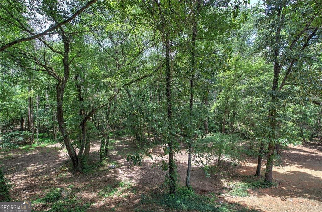 80 Iron Hill Road Taylorsville - Photo 9