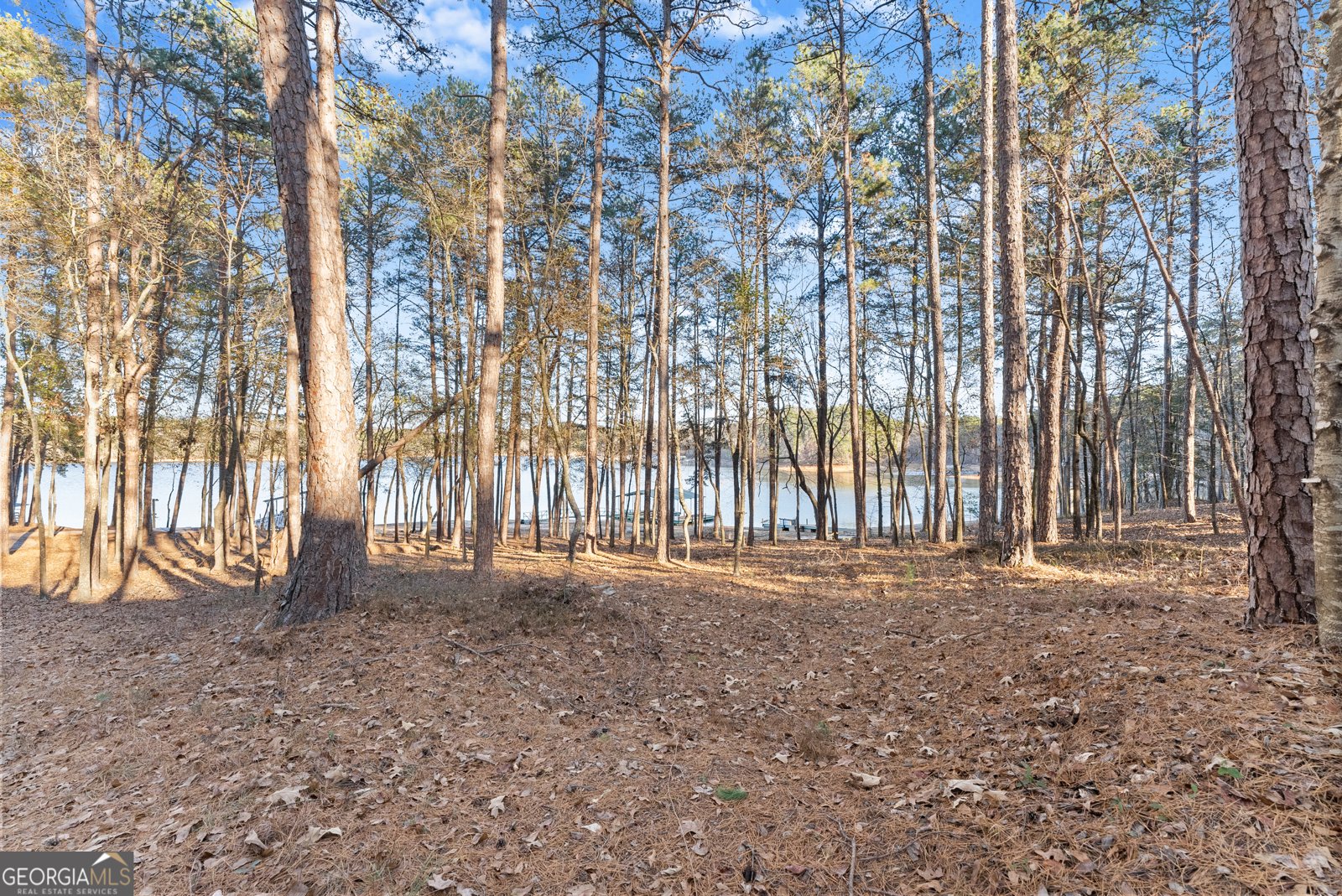 287 Spring Branch Circle Toccoa - Photo 53