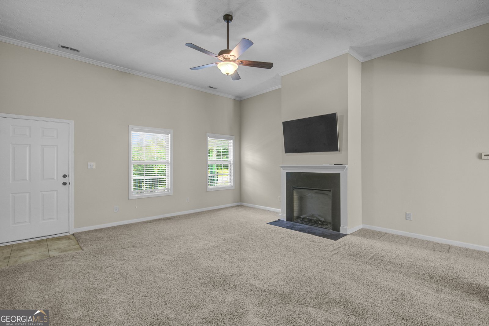 175 Spring Circle Senoia - Photo 10
