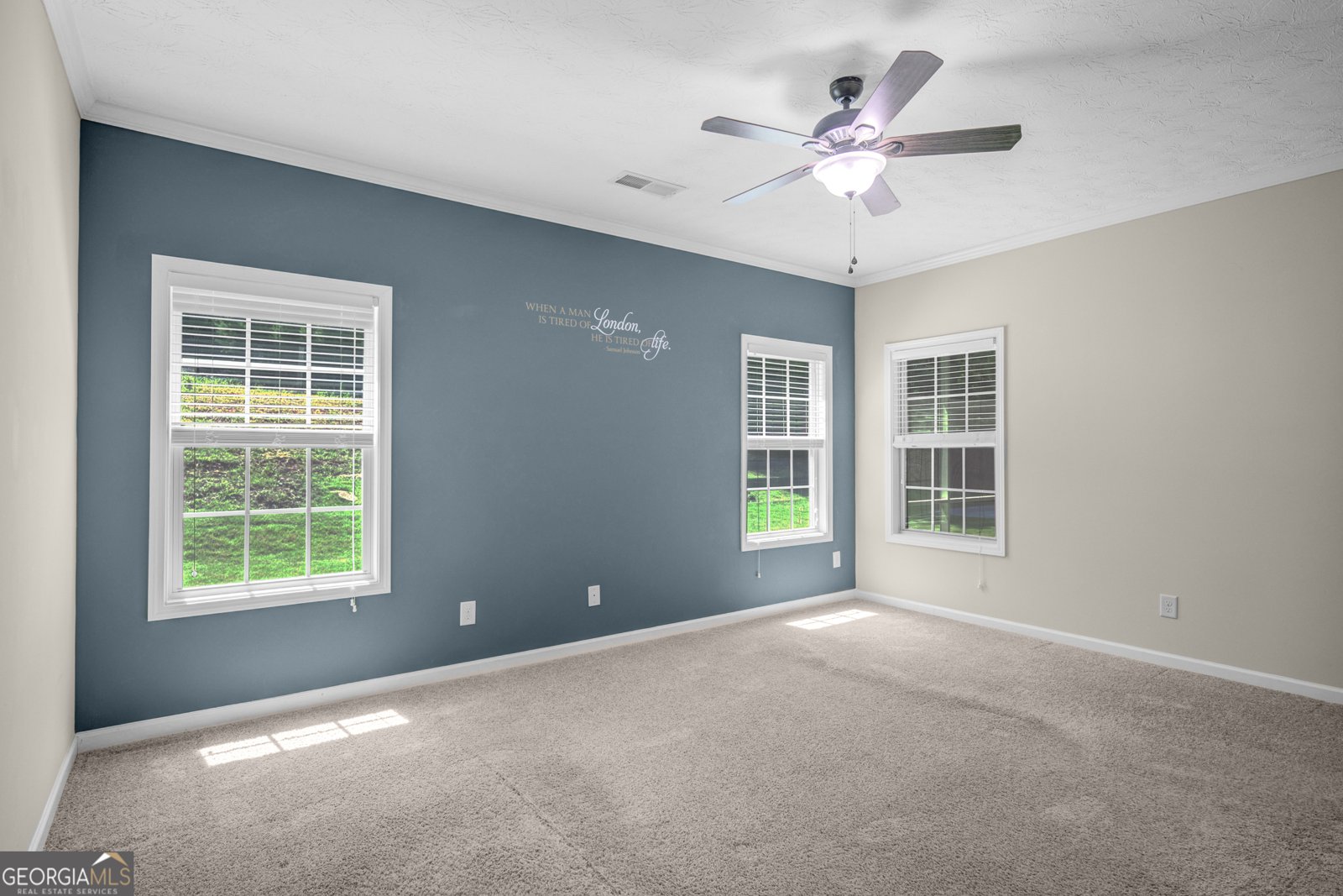 175 Spring Circle Senoia - Photo 20