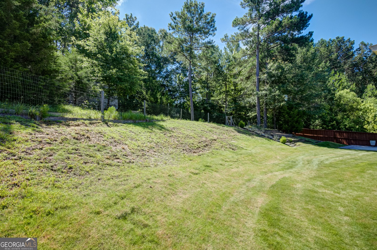 175 Spring Circle Senoia - Photo 47