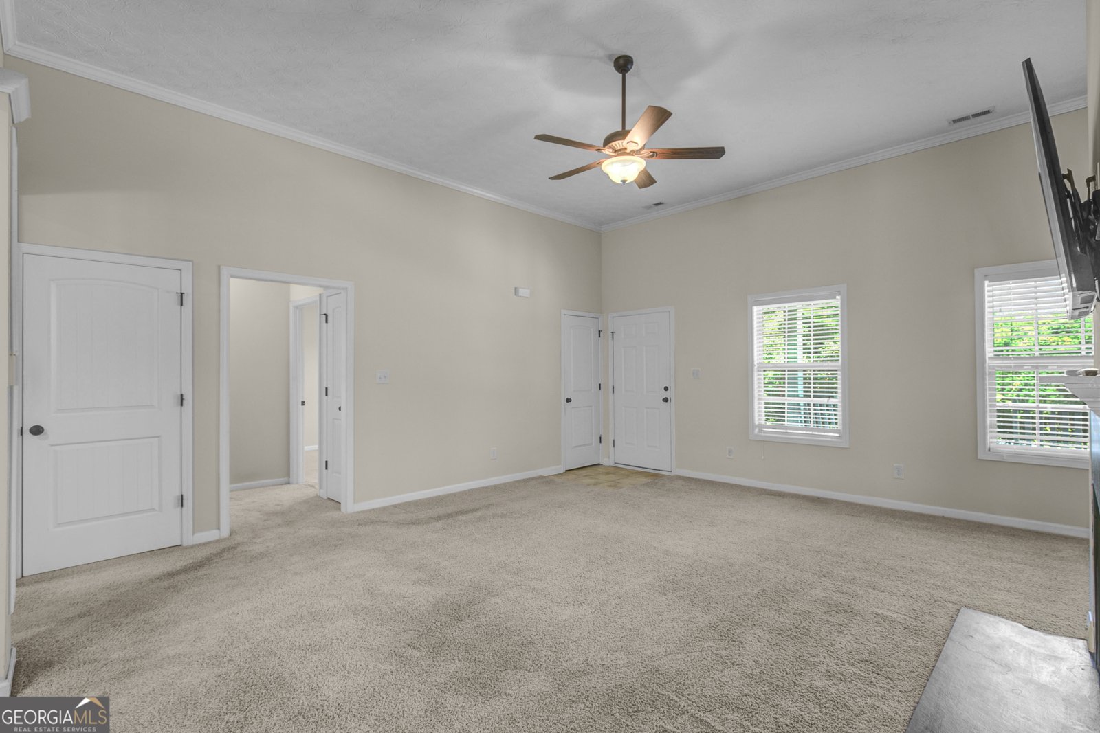 175 Spring Circle Senoia - Photo 9