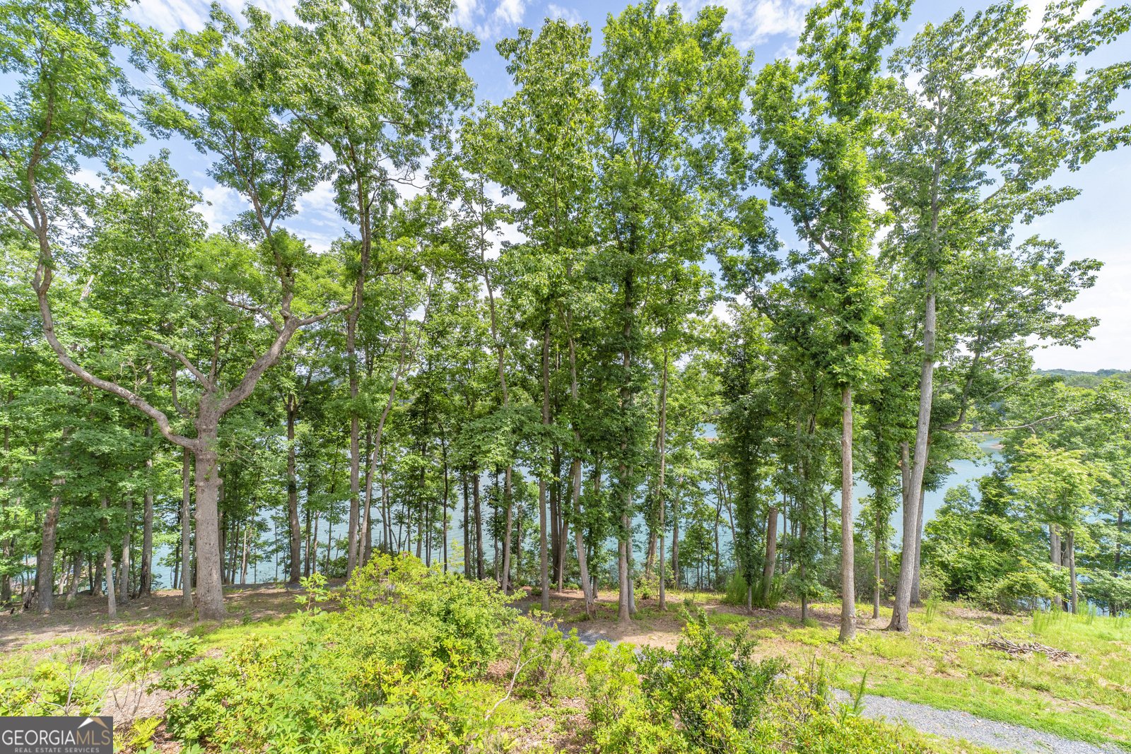 6570 Bermuda Lane Flowery Branch - Photo 40