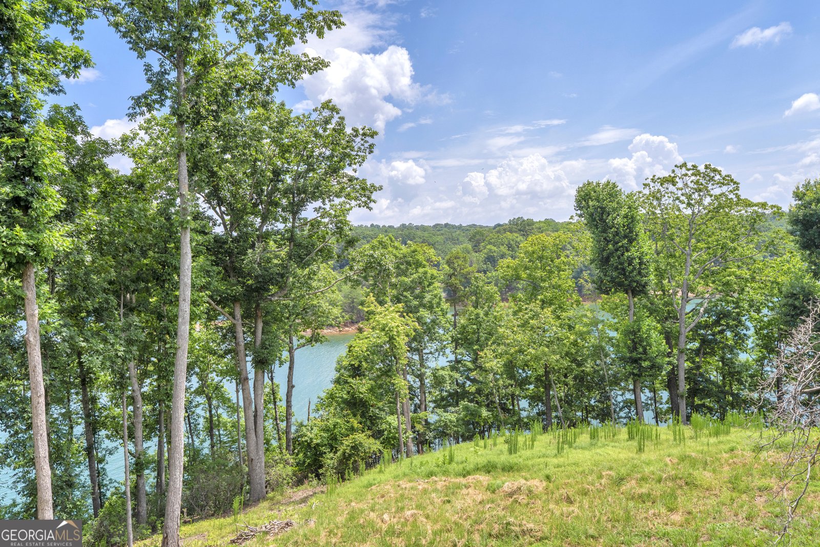 6570 Bermuda Lane Flowery Branch - Photo 41