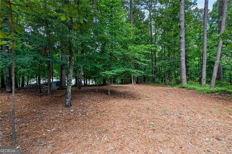 208 Nacoochee Drive Woodstock - Photo 37